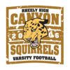 Rheely High - Canyon Squirrels - Image 2