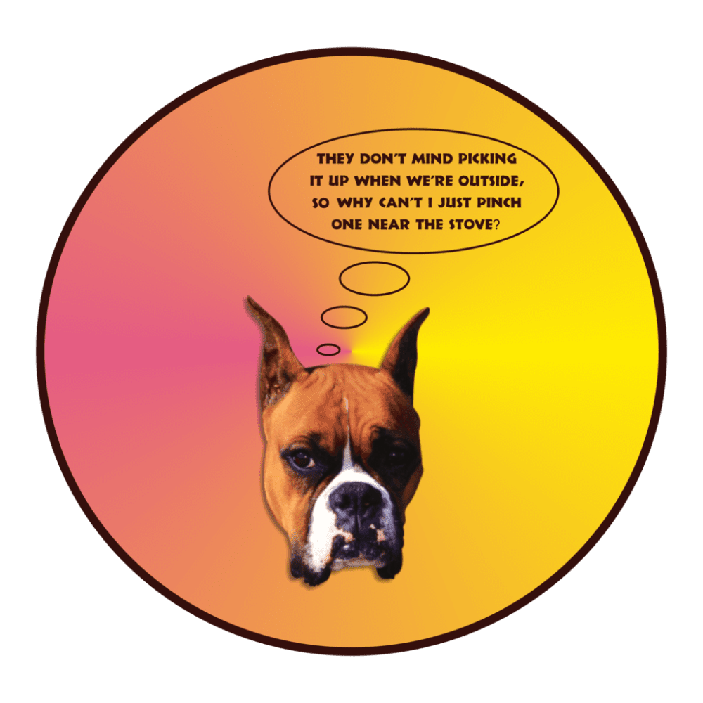 Why can’t I? - Image 2